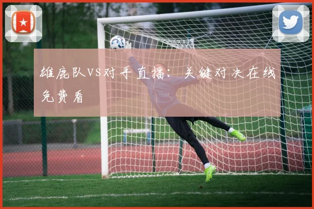 雄鹿队vs对手直播：关键对决在线免费看